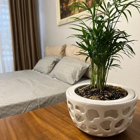 Olive Apartment