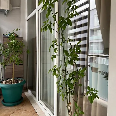 Olive Apartman