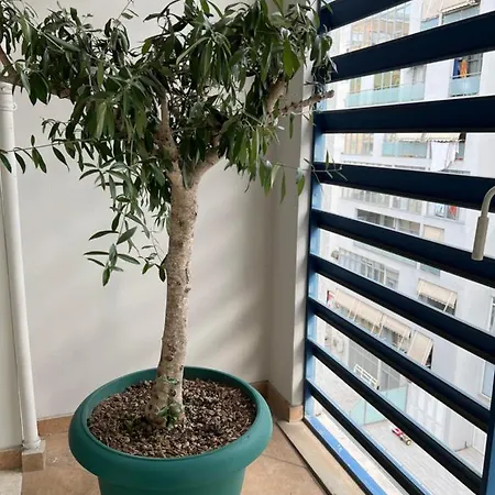 Olive Apartman *